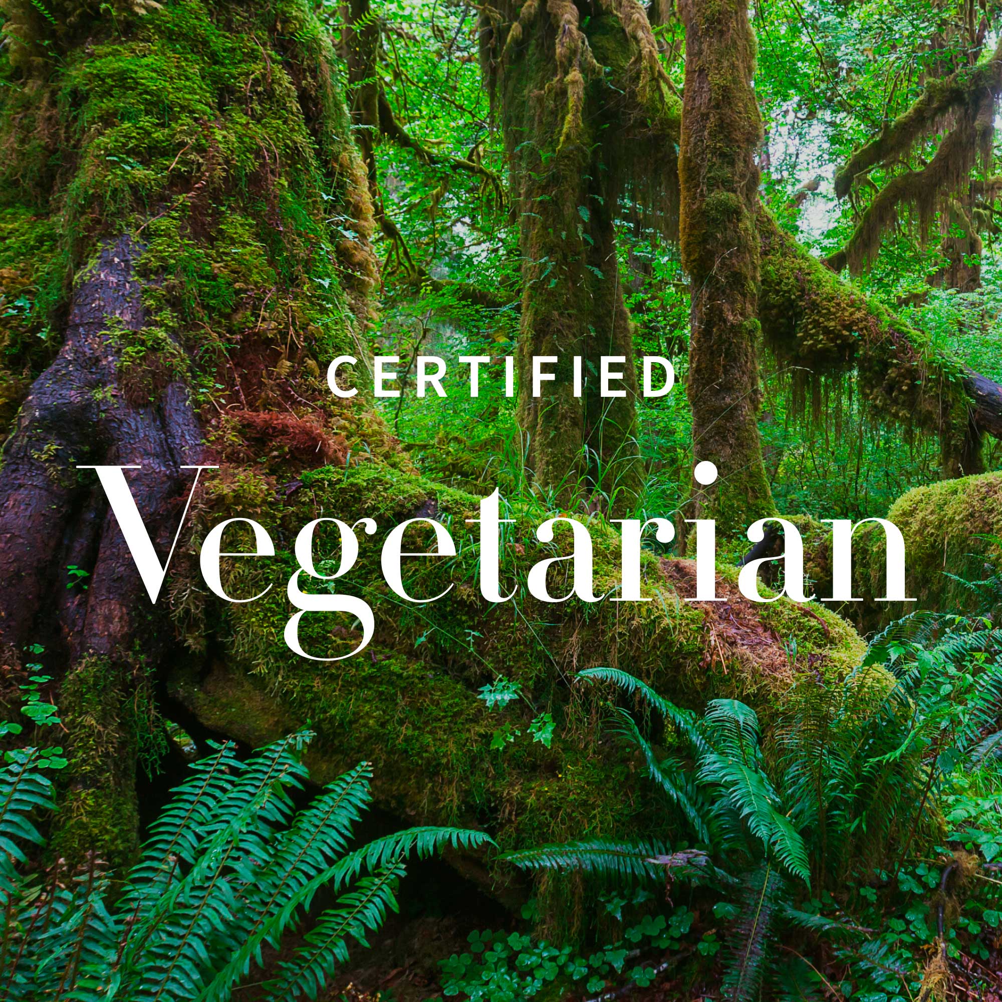 Antipodes Baptise H2O Ultra-Hydrating Water Gel 60ml - Image 3