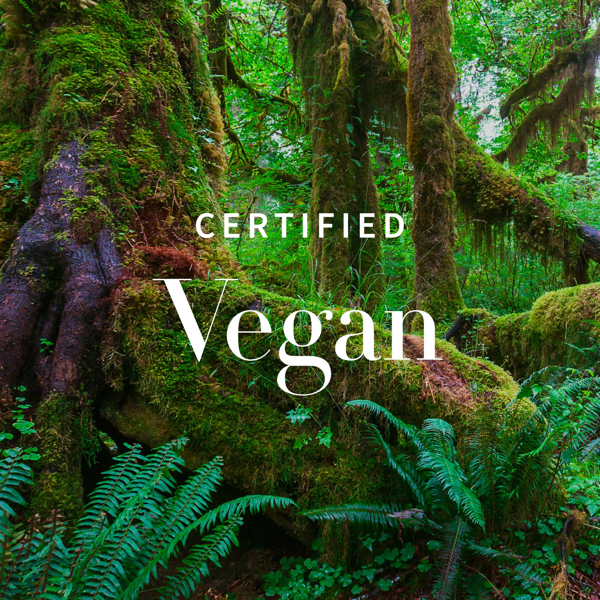 Antipodes Glow Ritual Vitamin C Serum with Plant Hyaluronic Acid 30ml - Image 3